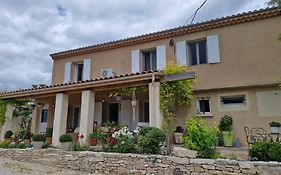 Le Jardin Des Oliviers